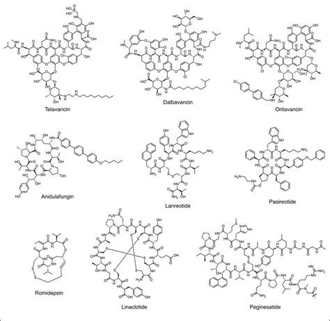 cyclic peptide|cyclic peptide drug.
